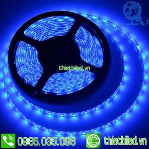 LED dây 5050 màu xanh dương chống nước